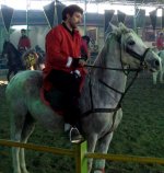 kurdish-horse-parastoo.jpg