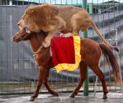 LionRidingHorse.jpg