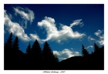 Dancing_Horse_in_the_Sky_by_BenHeine.jpg