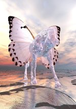 butterfly-horse.jpg