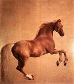 whistlejacket.jpg