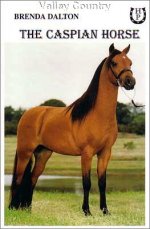 caspian horse book.jpg