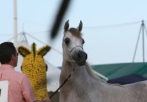 IMG_6428.jpg