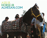 ISFIHAN14.gif