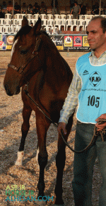ISFIHAN20.gif