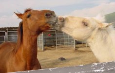 givingkisses.jpg