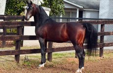 chief_stud[1].jpg