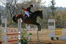 30853259.Horseshow4ways0108_edited.jpg