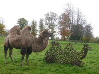 tmp-animal-sculptures-12.jpg