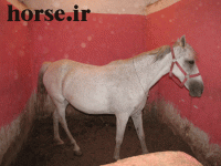 IMG_1908.gif