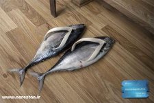 shoes09_m.jpg