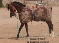 GHANTAR.jpg