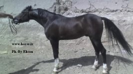 Dorna\'s Neck.jpg