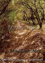 fall-autumn-shahmirzad.jpg