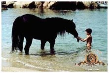 blackalecwater.jpg
