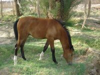 DSC00050.jpg