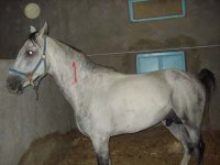 DSC00020.jpg