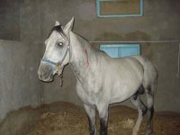 DSC00021.jpg