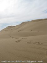 IMG_1710 copy.jpg