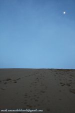 IMG_9192 copy.jpg