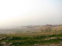 Picture-002.jpg