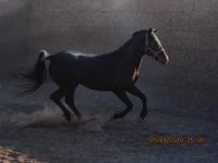 IMG_0120.JPG