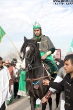 moharam-carnical1.jpg
