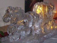 horse-carriage-lights.jpg
