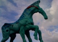 navi-horse-of-course.jpg
