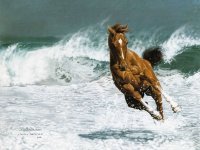 LesleyHarrison_10_Exuberance.jpg