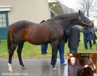 farms09-apindy.jpg