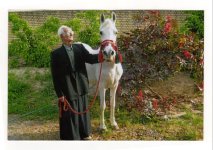 shahabi.jpg