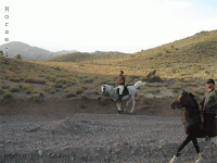 IMG_0132.gif