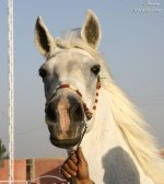 IMG_0991.JPG