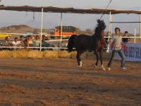 IMG_0408.jpg