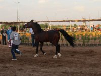 IMG_0409.jpg