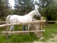 08042010334.jpg