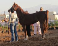 IMG_0890.jpg