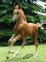 AffirmBaby1.jpg