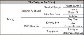 marajj.jpg