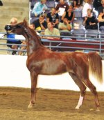 sophiie-at-region-three.jpg