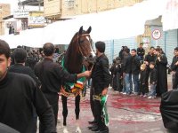 IMG_0019.JPG