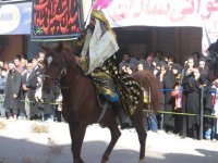 IMG_0206.jpg