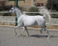 DSCN2213.JPG