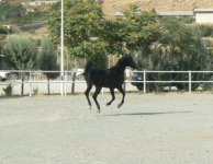 08.jpg