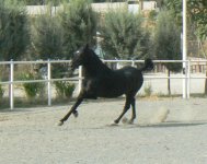 09.jpg