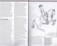 image006.gif