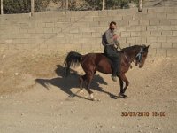 IMG_0440.JPG