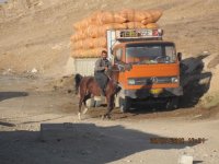 IMG_0442.JPG
