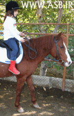 horsekids1.gif